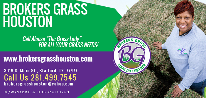 Brokers Grass Houston