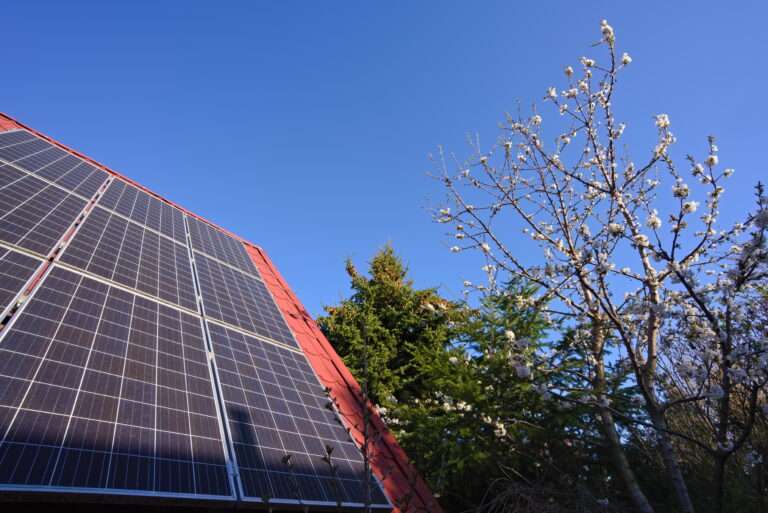 TotalEnergies Energizes 380MW Solar-Plus-Storage Venture in Texas